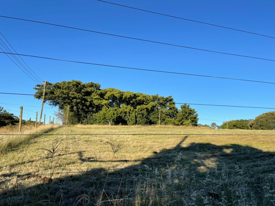 3 Bedroom Property for Sale in Bathurst Eastern Cape
